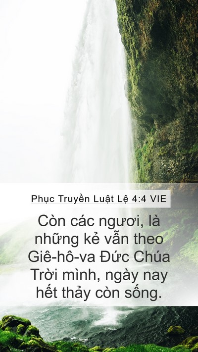Phục Truyền Luật Lệ 4:4 VIE Bible Verse Image