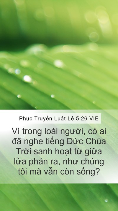 Phục Truyền Luật Lệ 5:26 VIE Bible Verse Image