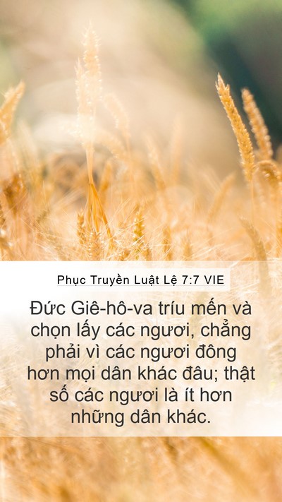 Phục Truyền Luật Lệ 7:7 VIE Bible Verse Image