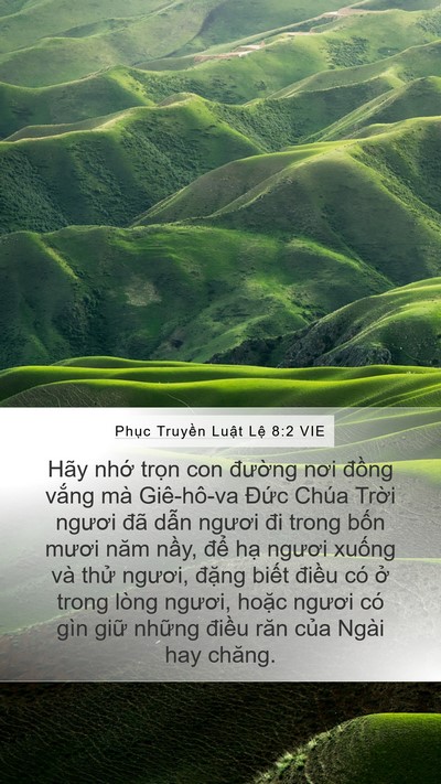 Phục Truyền Luật Lệ 8:2 VIE Bible Verse Image