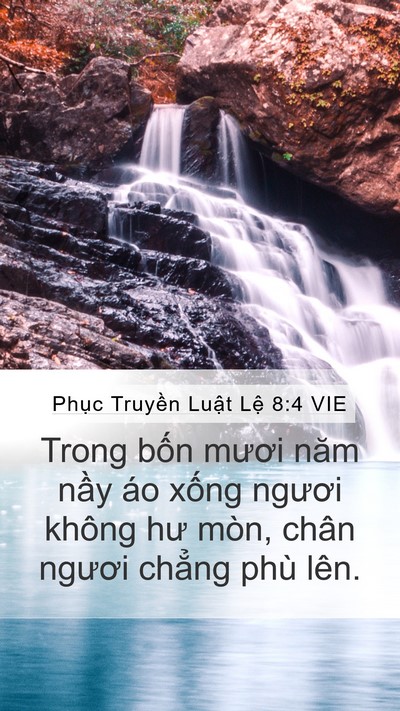 Phục Truyền Luật Lệ 8:4 VIE Bible Verse Image