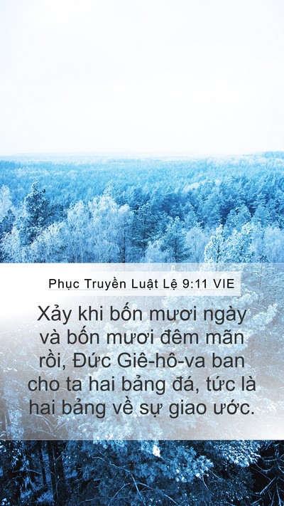 Phục Truyền Luật Lệ 9:11 VIE Bible Verse Image