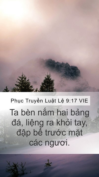 Phục Truyền Luật Lệ 9:17 VIE Mobile Phone Wallpaper - Ta bèn nắm hai bảng đá, liệng ra khỏi - Mobile Bible Verse Wallpaper