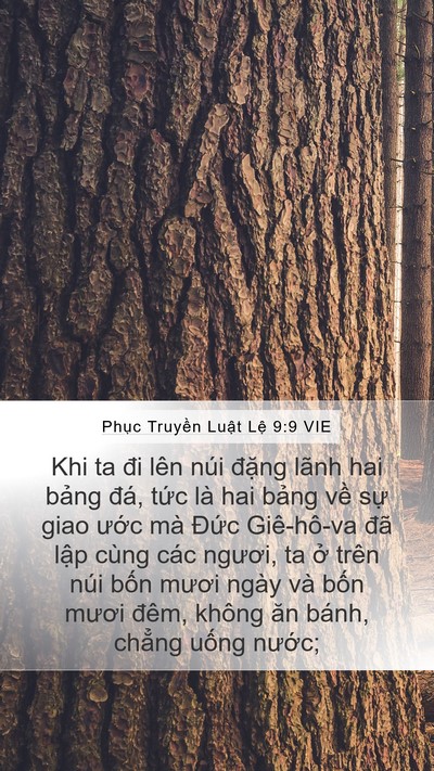 Phục Truyền Luật Lệ 9:9 VIE Bible Verse Image