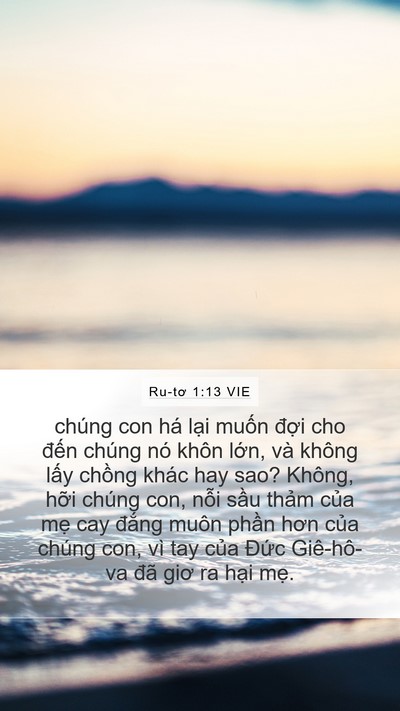 Ru-tơ 1:13 VIE Bible Verse Image