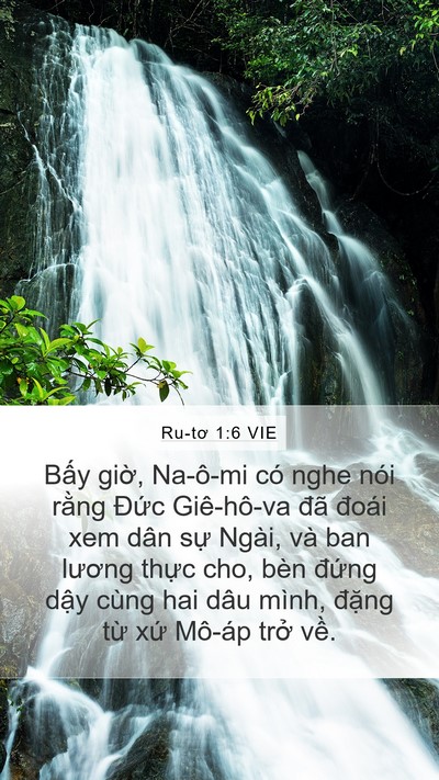 Ru-tơ 1:6 VIE Bible Verse Image