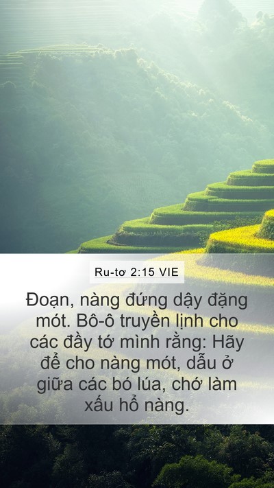 Ru-tơ 2:15 VIE Mobile Phone Wallpaper - Đoạn, nàng đứng dậy đặng mót. Bô-ô - Mobile Bible Verse Wallpaper