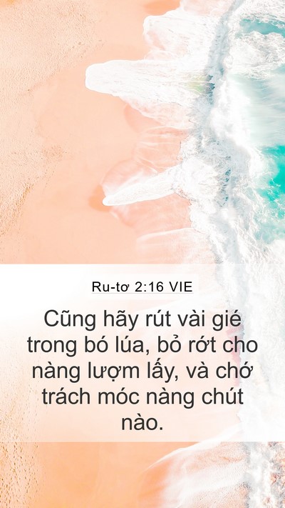 Ru-tơ 2:16 VIE Mobile Phone Wallpaper - Cũng hãy rút vài gié trong bó lúa, bỏ - Mobile Bible Verse Wallpaper