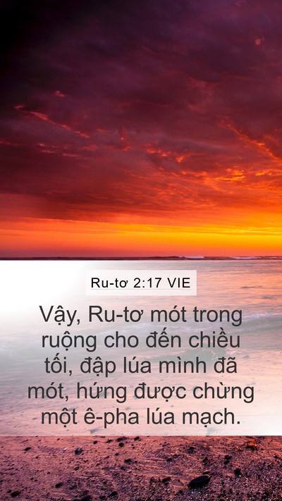 Ru-tơ 2:17 VIE Bible Verse Image