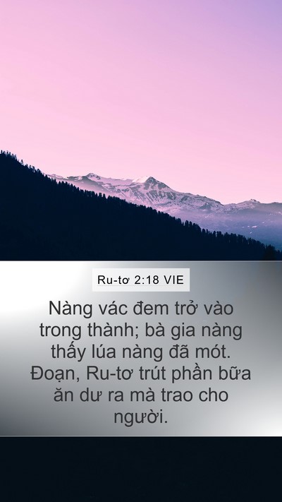Ru-tơ 2:18 VIE Bible Verse Image