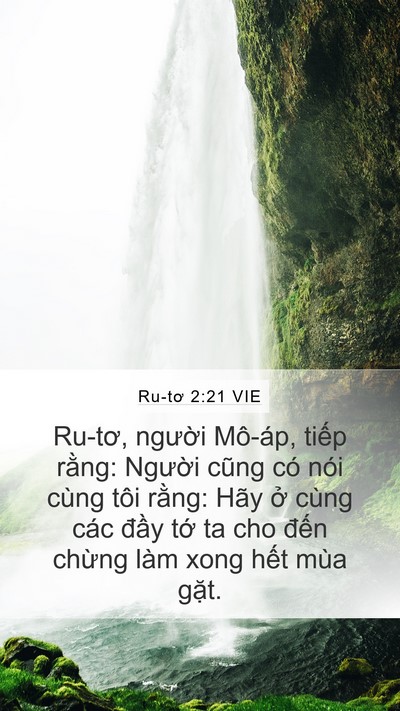 Ru-tơ 2:21 VIE Mobile Phone Wallpaper - Ru-tơ, người Mô-áp, tiếp rằng: Người - Mobile Bible Verse Wallpaper