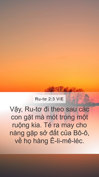 Ru-tơ 2:3 VIE Mobile Phone Wallpaper - Vậy, Ru-tơ đi theo sau các con gặt mà - Mobile Bible Verse Wallpaper