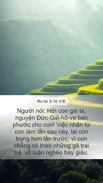 Ru-tơ 3:10 VIE Bible Verse Image