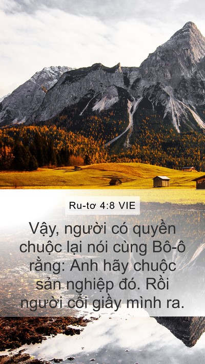 Ru-tơ 4:8 VIE Mobile Phone Wallpaper - Vậy, người có quyền chuộc lại nói - Mobile Bible Verse Wallpaper