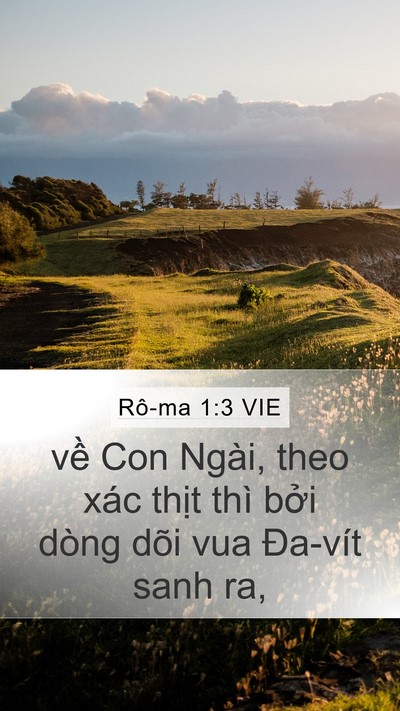 Rô-ma 1:3 VIE Bible Verse Image