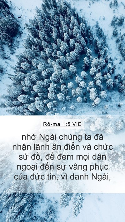 Rô-ma 1:5 VIE Bible Verse Image