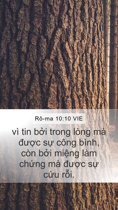 Rô-ma 10:10 VIE Bible Verse Image