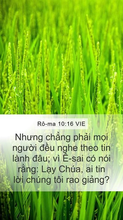 Rô-ma 10:16 VIE Bible Verse Image
