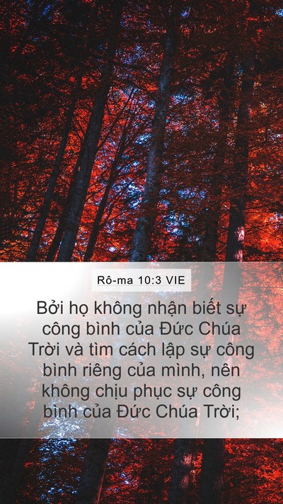 Rô-ma 10:3 VIE Bible Verse Image