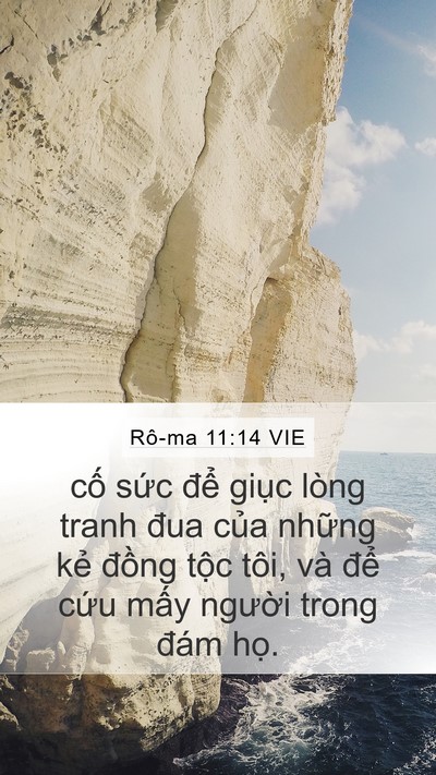 Rô-ma 11:14 VIE Bible Verse Image
