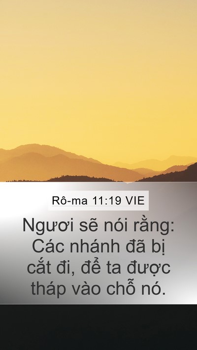 Rô-ma 11:19 VIE Bible Verse Image