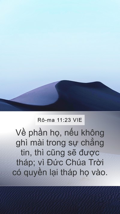 Rô-ma 11:23 VIE Bible Verse Image