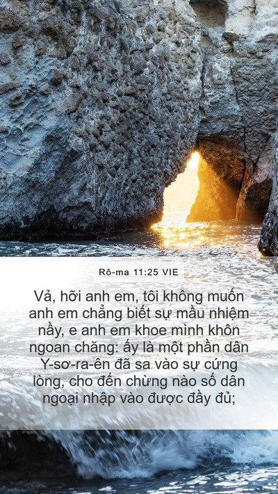Rô-ma 11:25 VIE Bible Verse Image