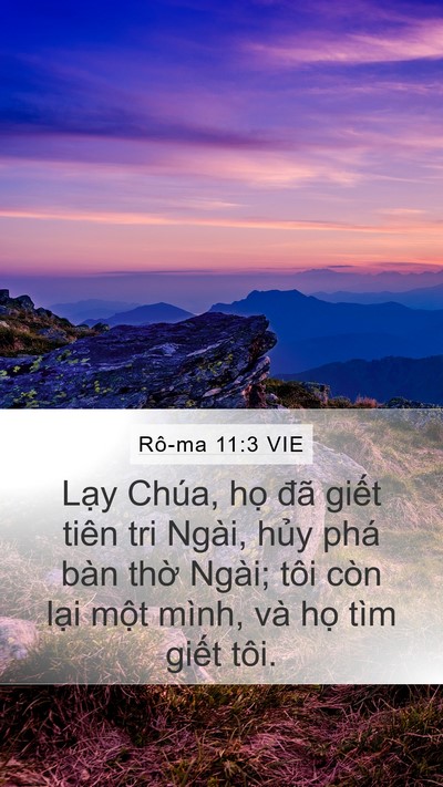 Rô-ma 11:3 VIE Bible Verse Image