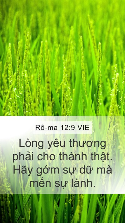 Rô-ma 12:9 VIE Bible Verse Image