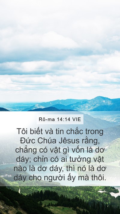 Rô-ma 14:14 VIE Bible Verse Image