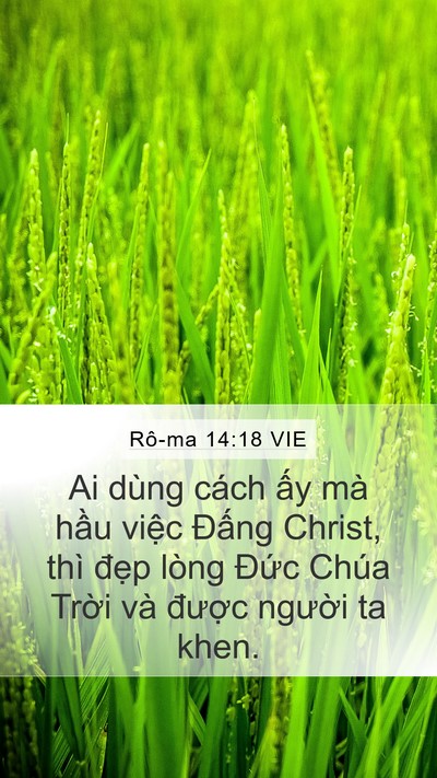 Rô-ma 14:18 VIE Bible Verse Image