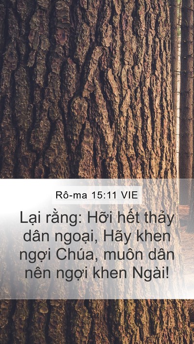 Rô-ma 15:11 VIE Bible Verse Image