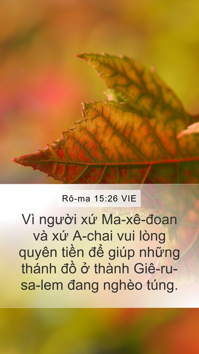 Rô-ma 15:26 VIE Bible Verse Image