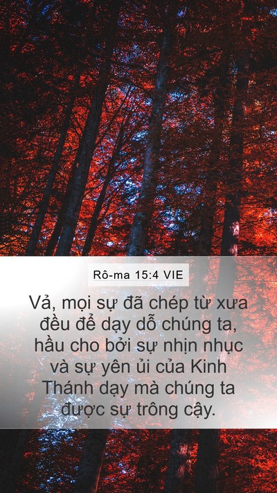Rô-ma 15:4 VIE Bible Verse Image