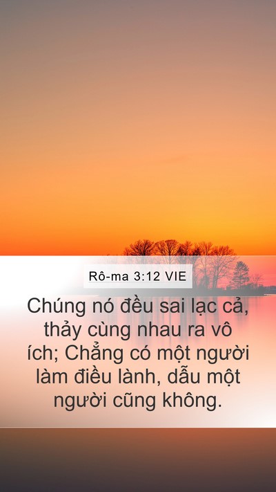 Rô-ma 3:12 VIE Bible Verse Image