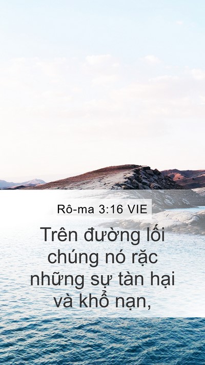 Rô-ma 3:16 VIE Mobile Phone Wallpaper - Trên đường lối chúng nó rặc những - Mobile Bible Verse Wallpaper