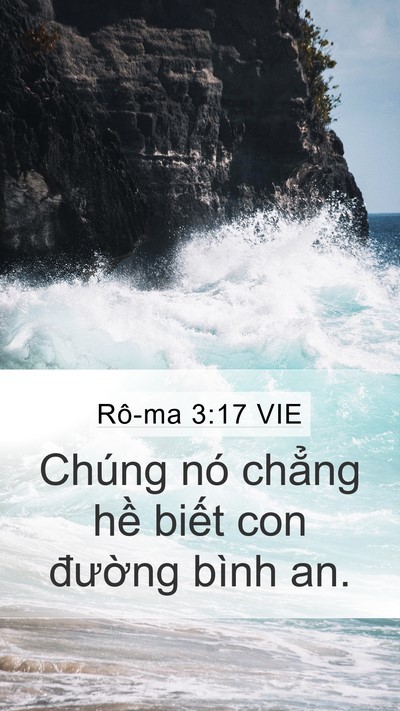 Rô-ma 3:17 VIE Bible Verse Image