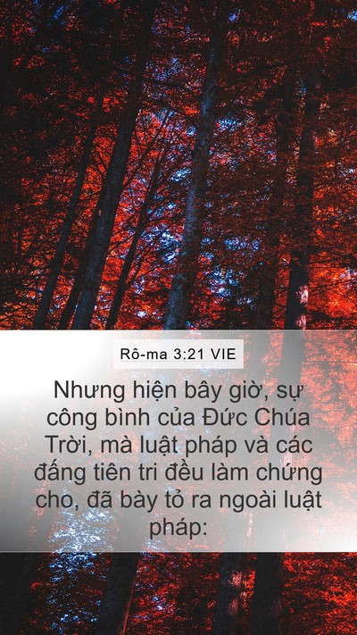 Rô-ma 3:21 VIE Bible Verse Image