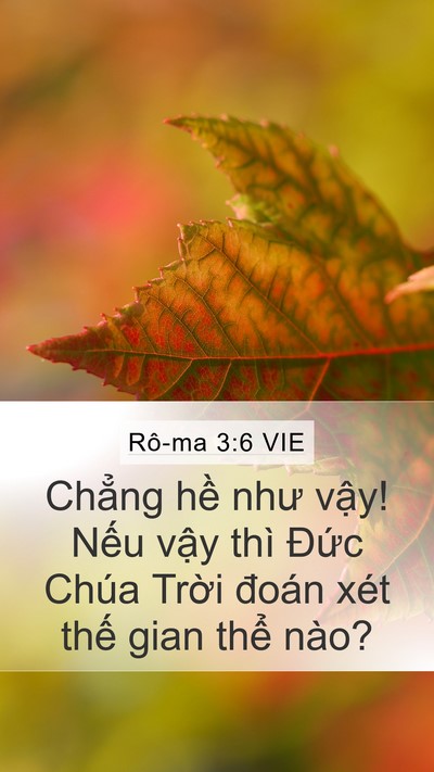 Rô-ma 3:6 VIE Bible Verse Image