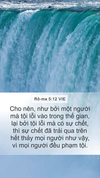 Rô-ma 5:12 VIE Bible Verse Image