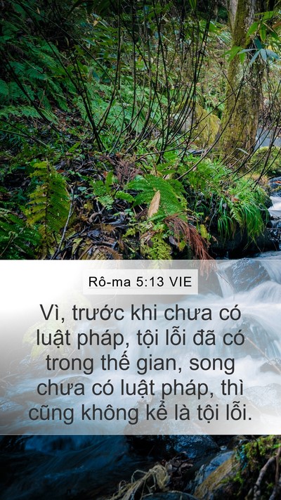 Rô-ma 5:13 VIE Bible Verse Image