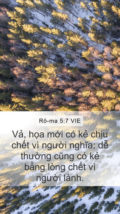 Rô-ma 5:7 VIE Bible Verse Image