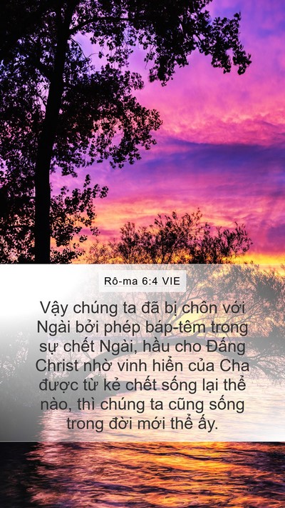 Rô-ma 6:4 VIE Bible Verse Image