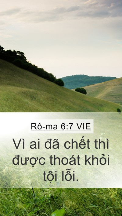 Rô-ma 6:7 VIE Bible Verse Image