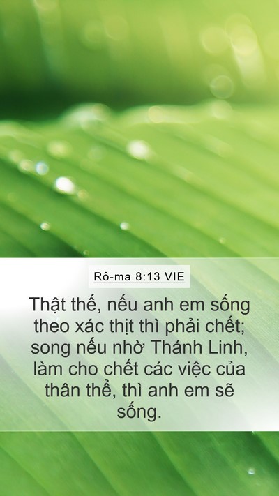 Rô-ma 8:13 VIE Bible Verse Image