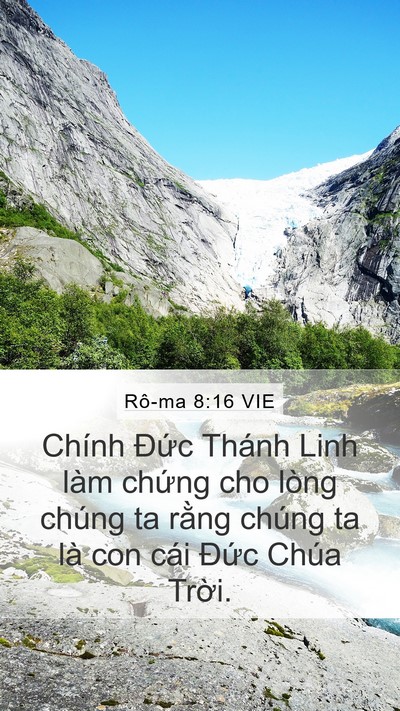 Rô-ma 8:16 VIE Bible Verse Image