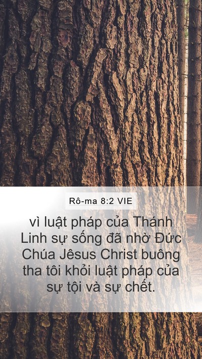 Rô-ma 8:2 VIE Bible Verse Image