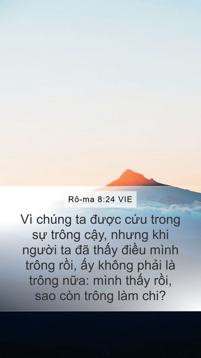 Rô-ma 8:24 VIE Bible Verse Image