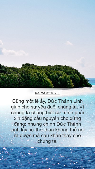 Rô-ma 8:26 VIE Bible Verse Image