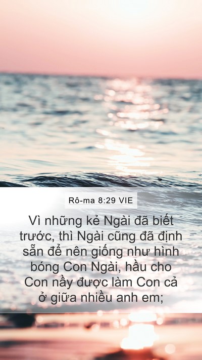 Rô-ma 8:29 VIE Bible Verse Image